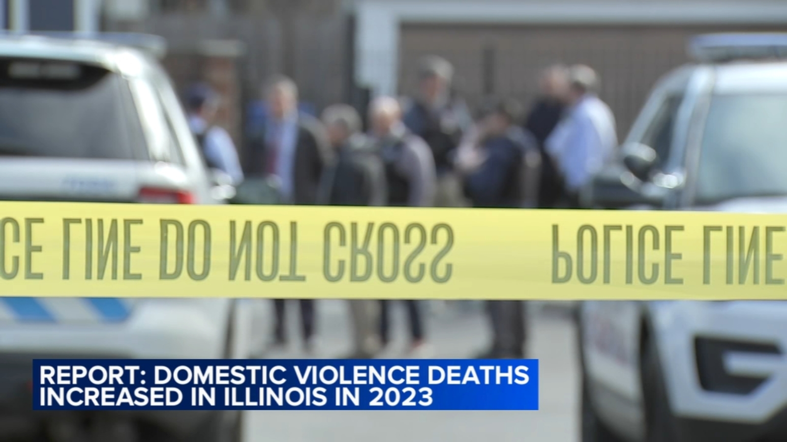 Domestic violence deaths more than doubled in Illinois in 2023, according to a report from the Illinois Domestic Violence Prevention Coalition.