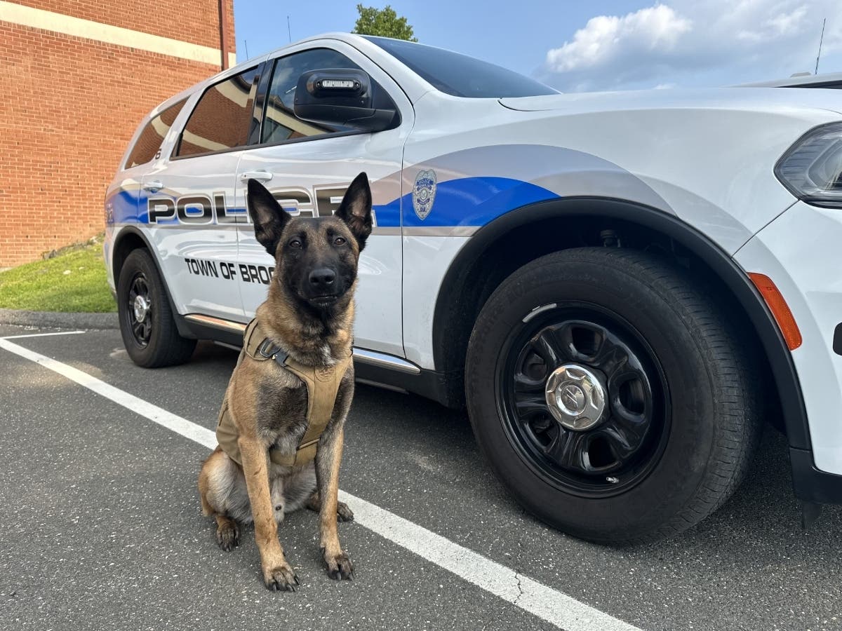 Domestic violence suspect pursued by Brookfield Police Department K-9 officer: Police